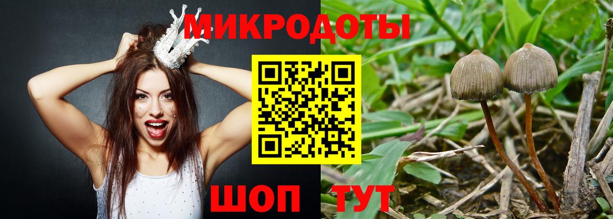 Псилоцибиновые грибы Magic Shrooms  Вход с VPN  Батайск  Псилоцибиновые грибы GOLDEN TEACHER 